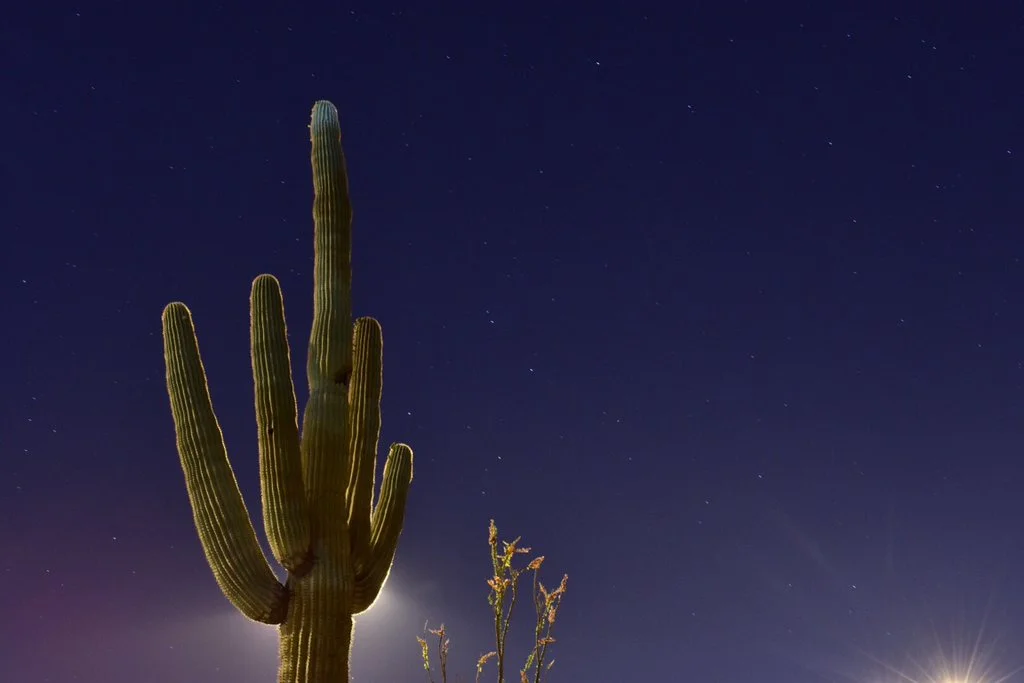 CfyPI3fVIAAJUFy.jpg large.jpg