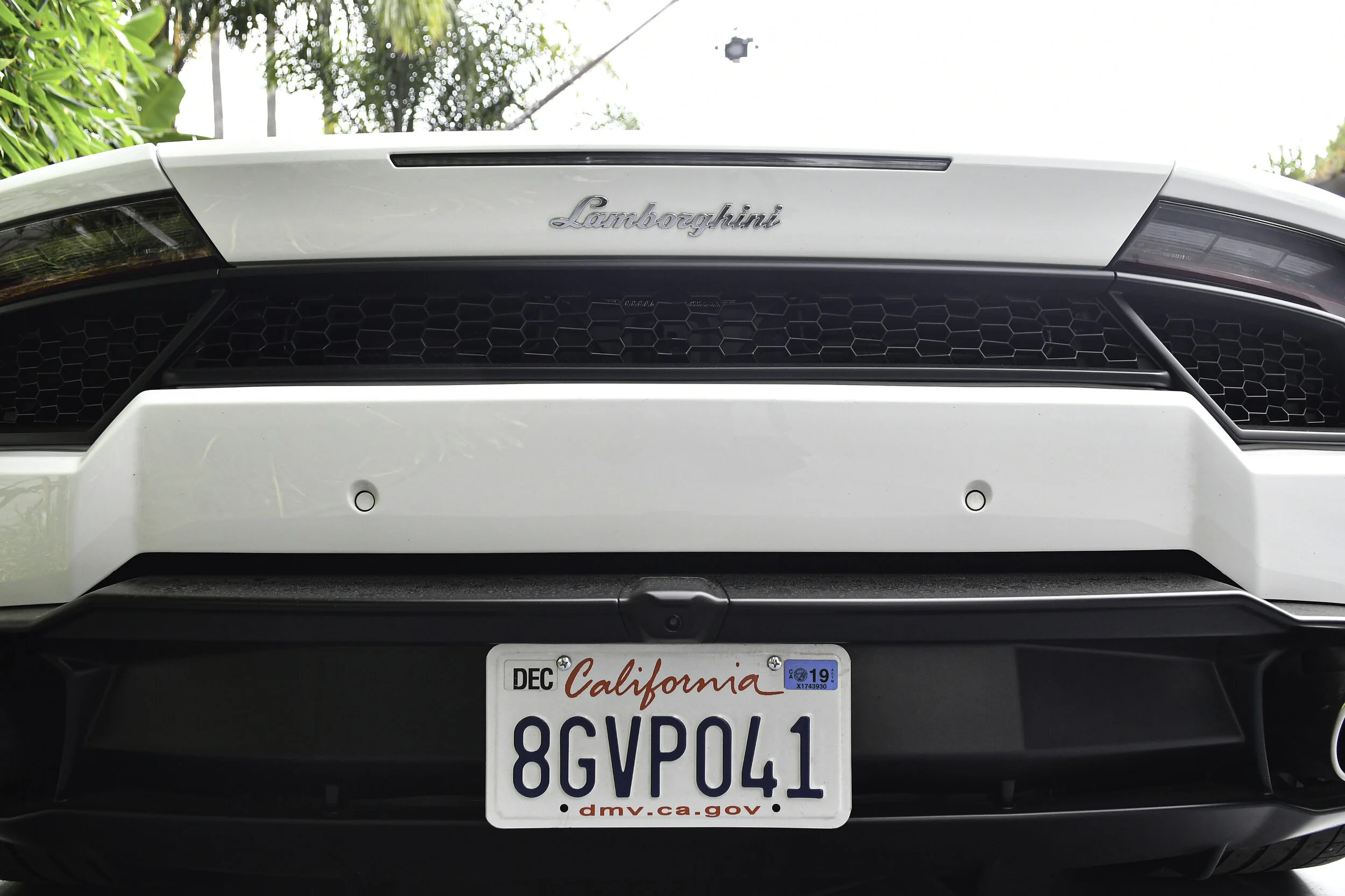 anniedevinetx-43.jpg