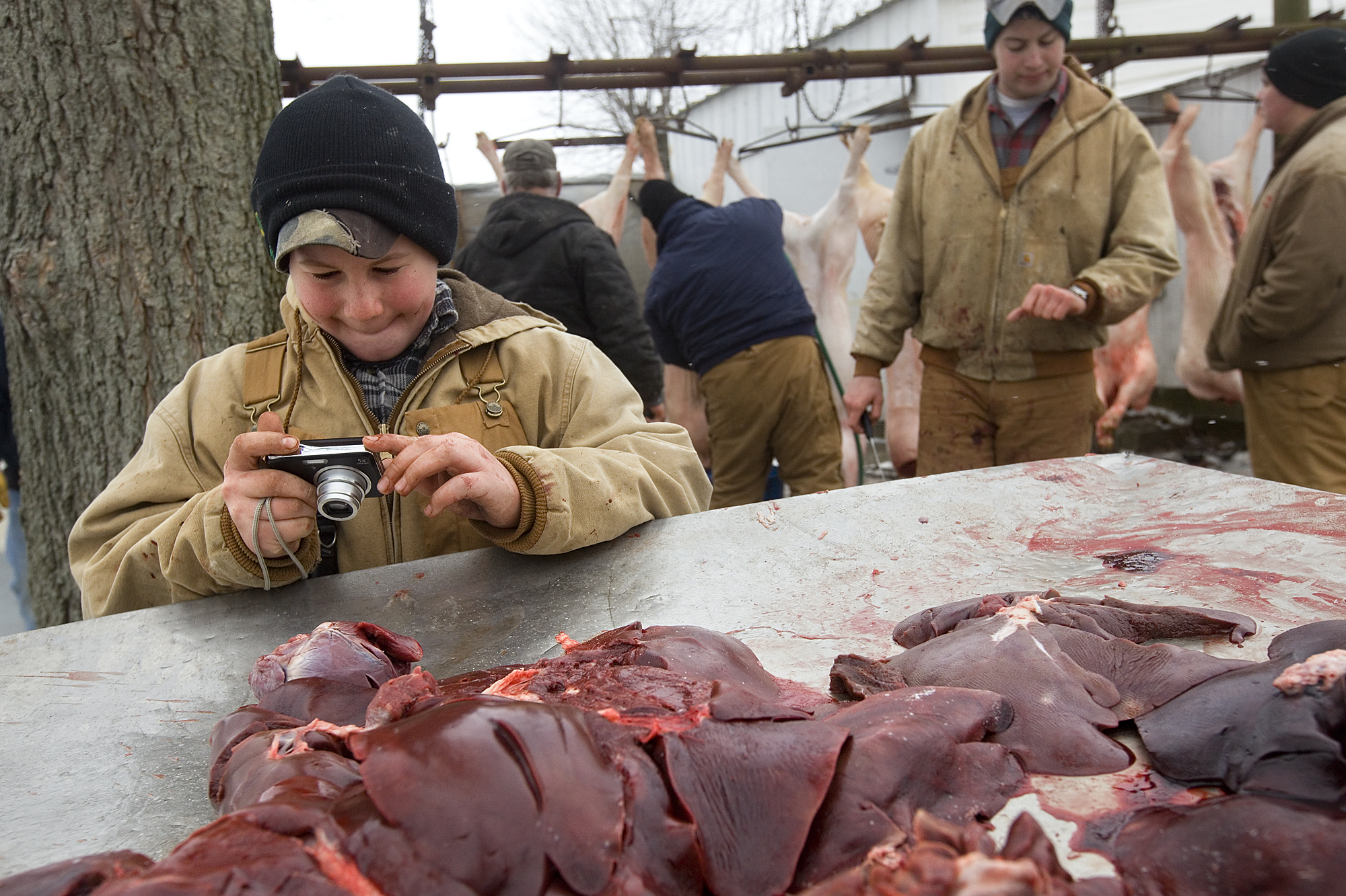 Jared Schwenk of Jasper, 12, used his digital camera to capture the process of the family tradition, including photographs of the livers piled on a table. Jared said he would receive extra credit in his science class for sharing the photos with his