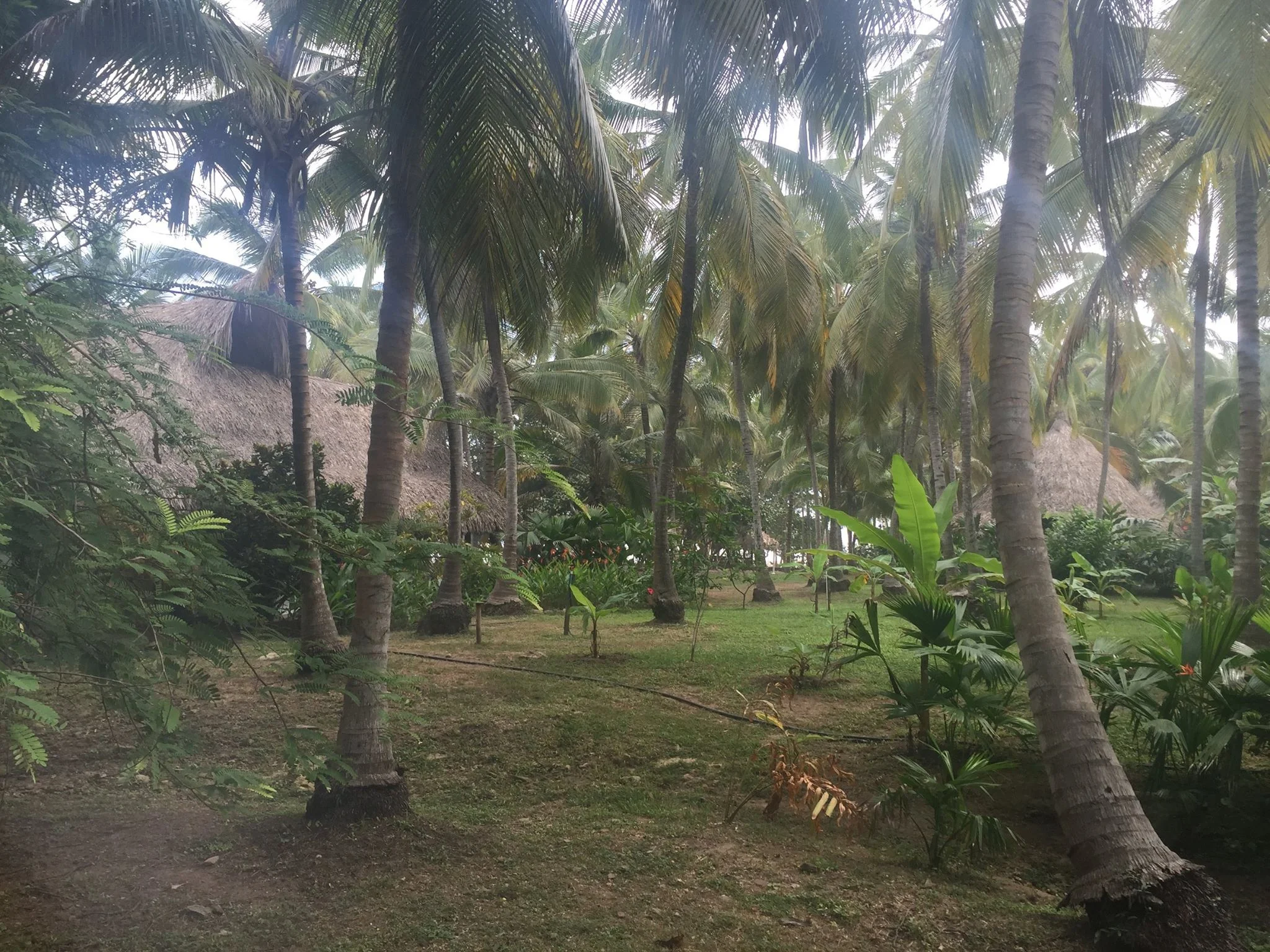 Casa Lina outside of Palomino, Colombia.