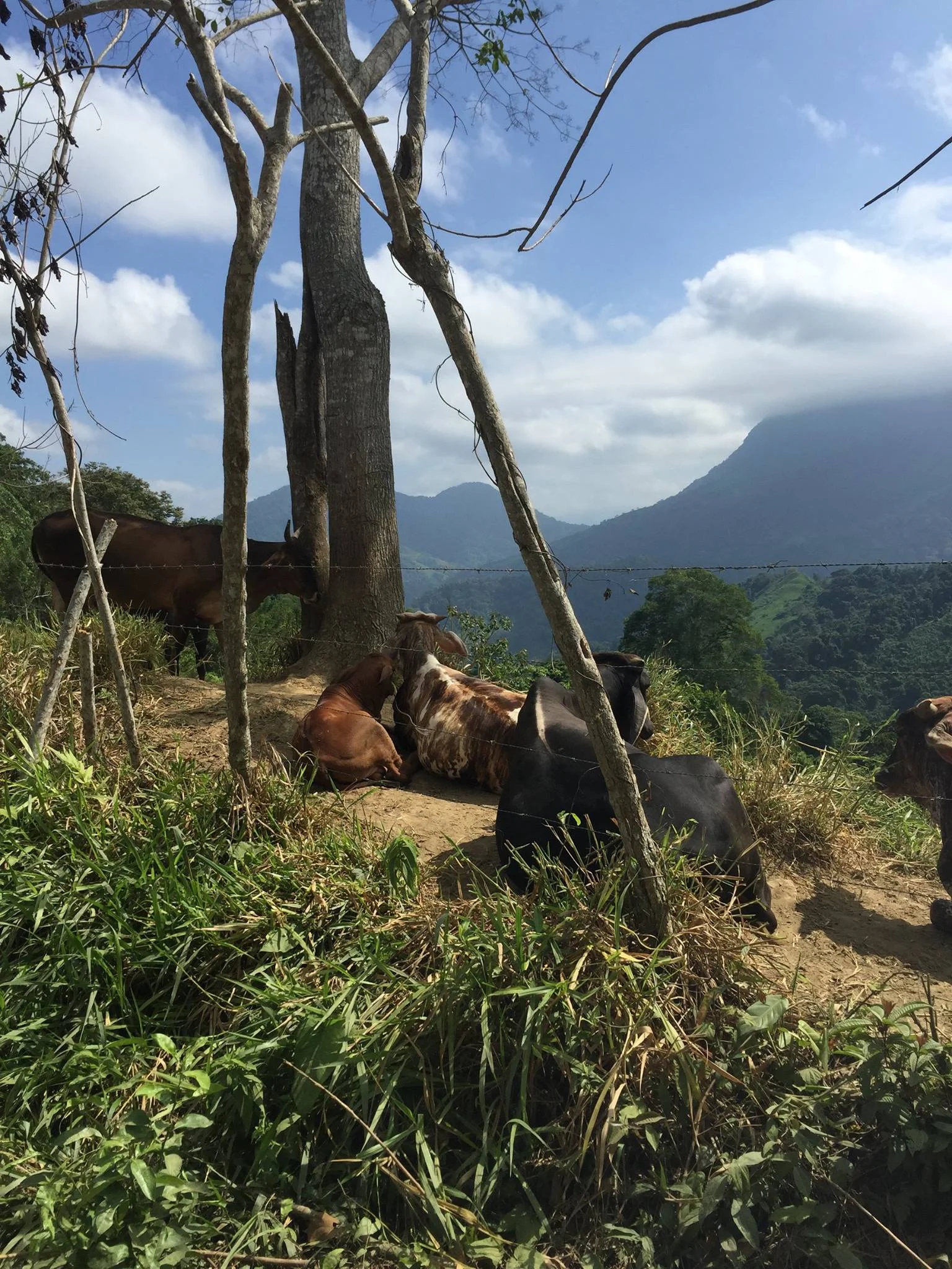 Beautiful views on the way to the Lost City.