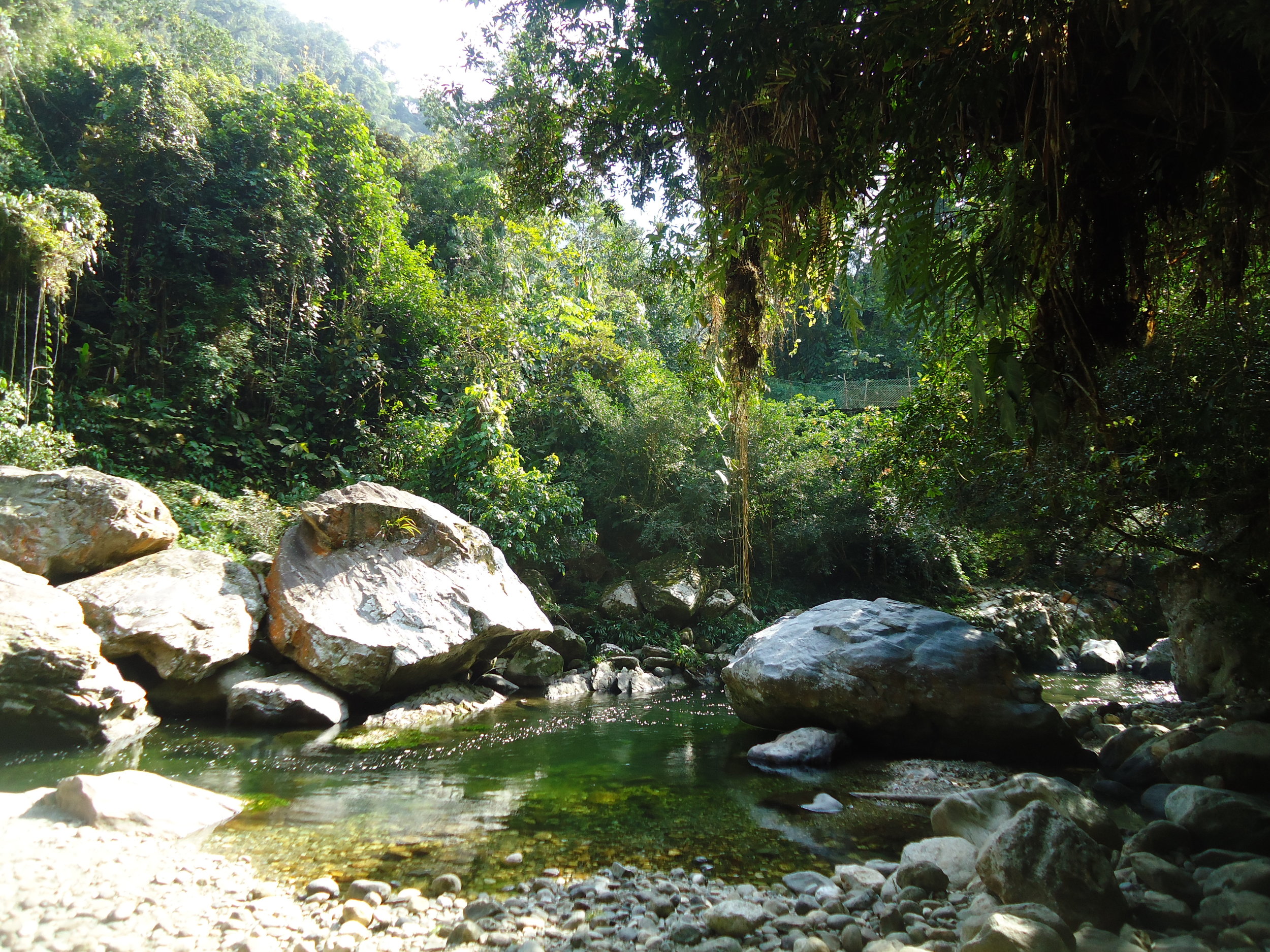 Gorgeous nature in the heart of Colombia.