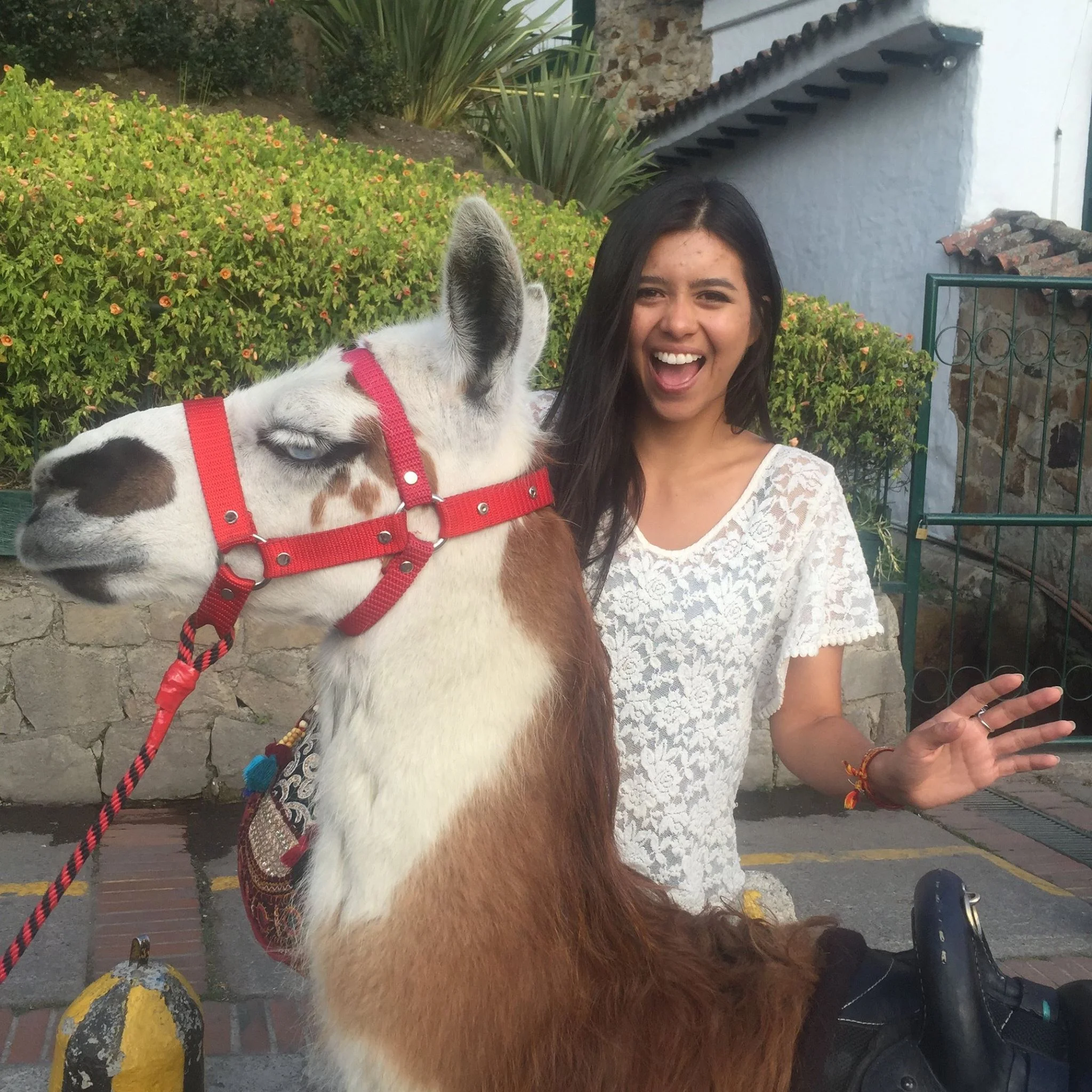 My friend Natalia & our amused llama friend at the entrance to Monserrate.