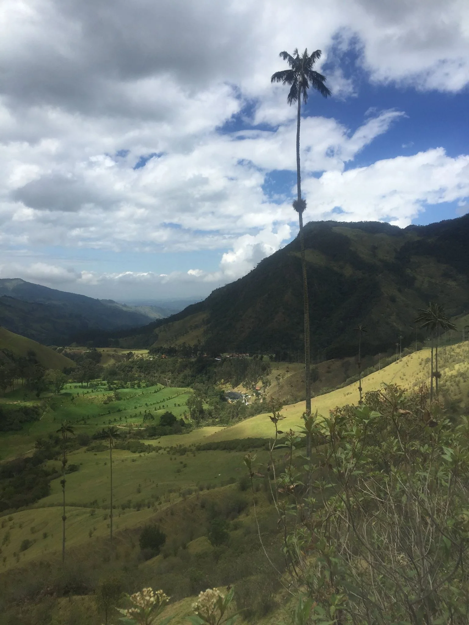 Corcora Valley from above.