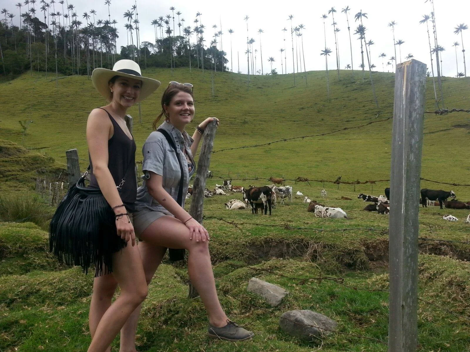 The beginning of our hike in Corcora Valley.