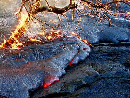 Tree_on_fire_in_active_lava_flow%2C_Hawaii_Volcanoes_National_Park%2C_USA.jpg