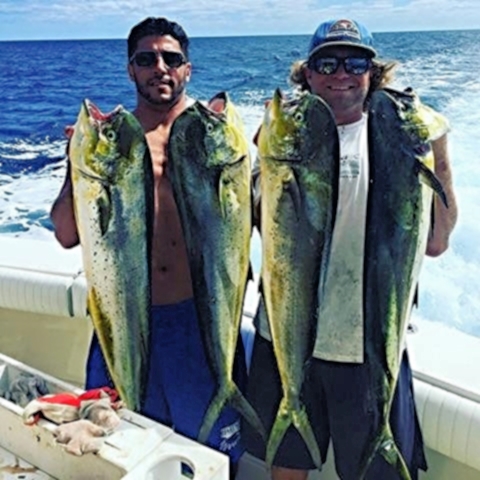 Mahi Mahi