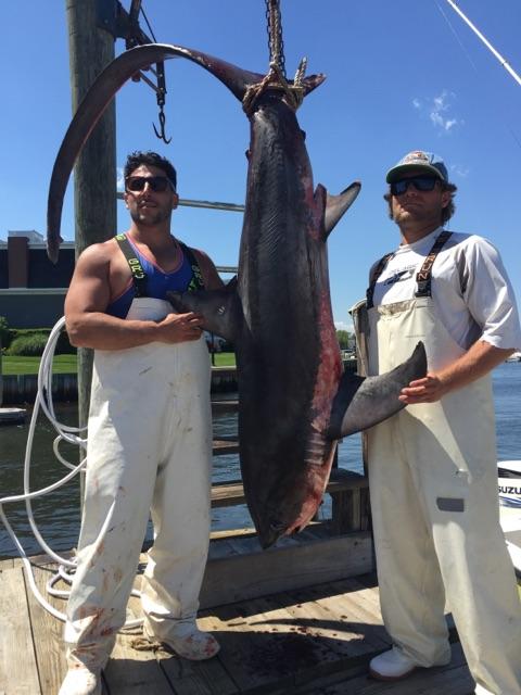FIFC Crew with a nice fat Thresher Shark