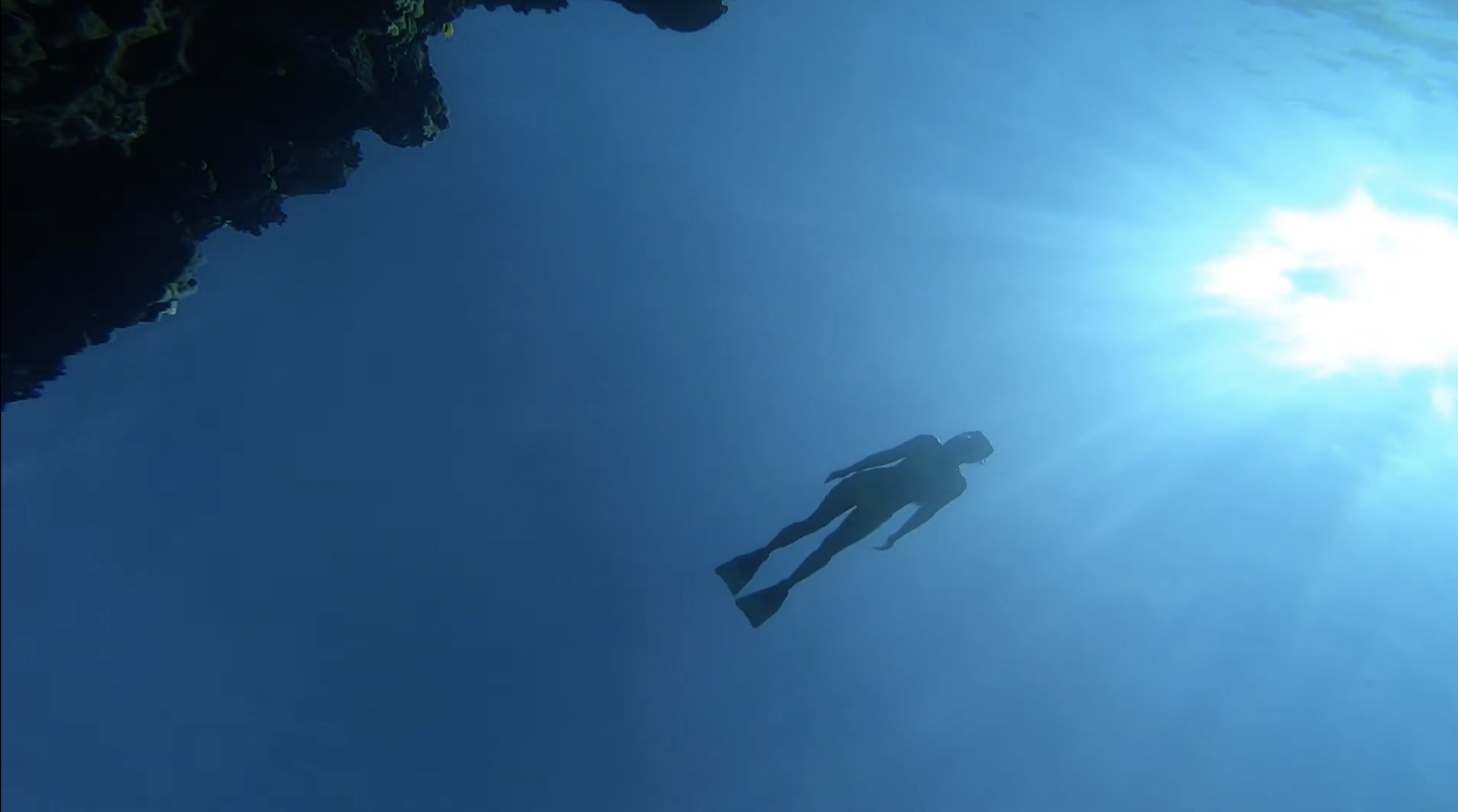 Screen Shot 2021-03-11 at 12.23.07 PM.png