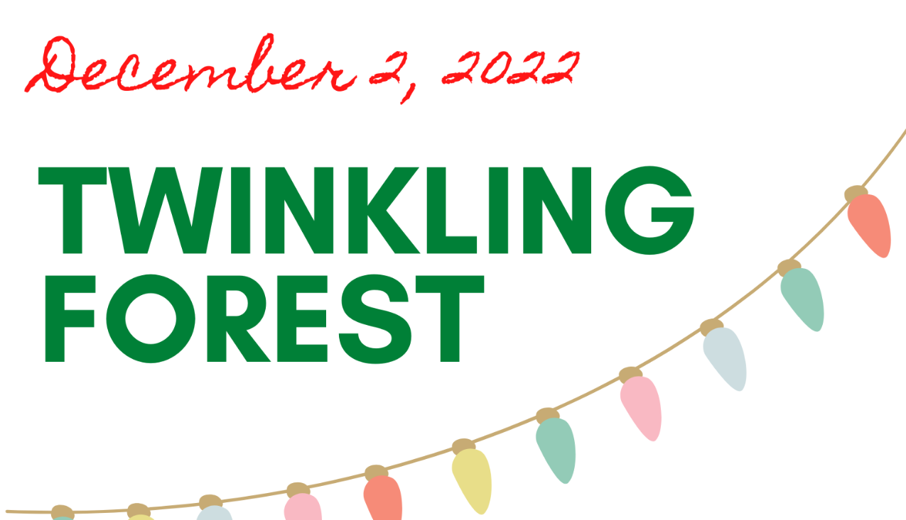 Twinkling Forest Lighting Ceremony