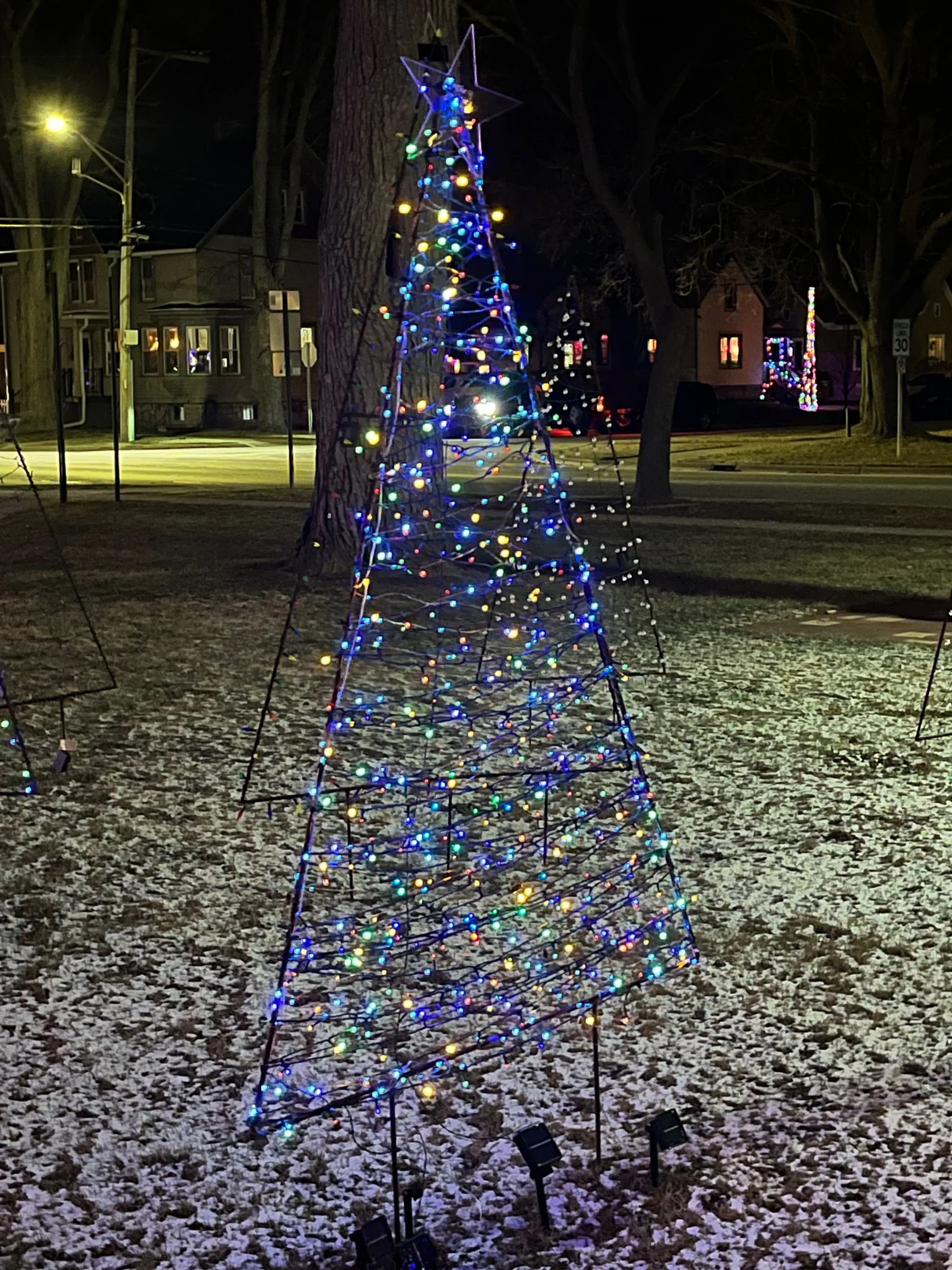 Twinkling Forest 4.jpg