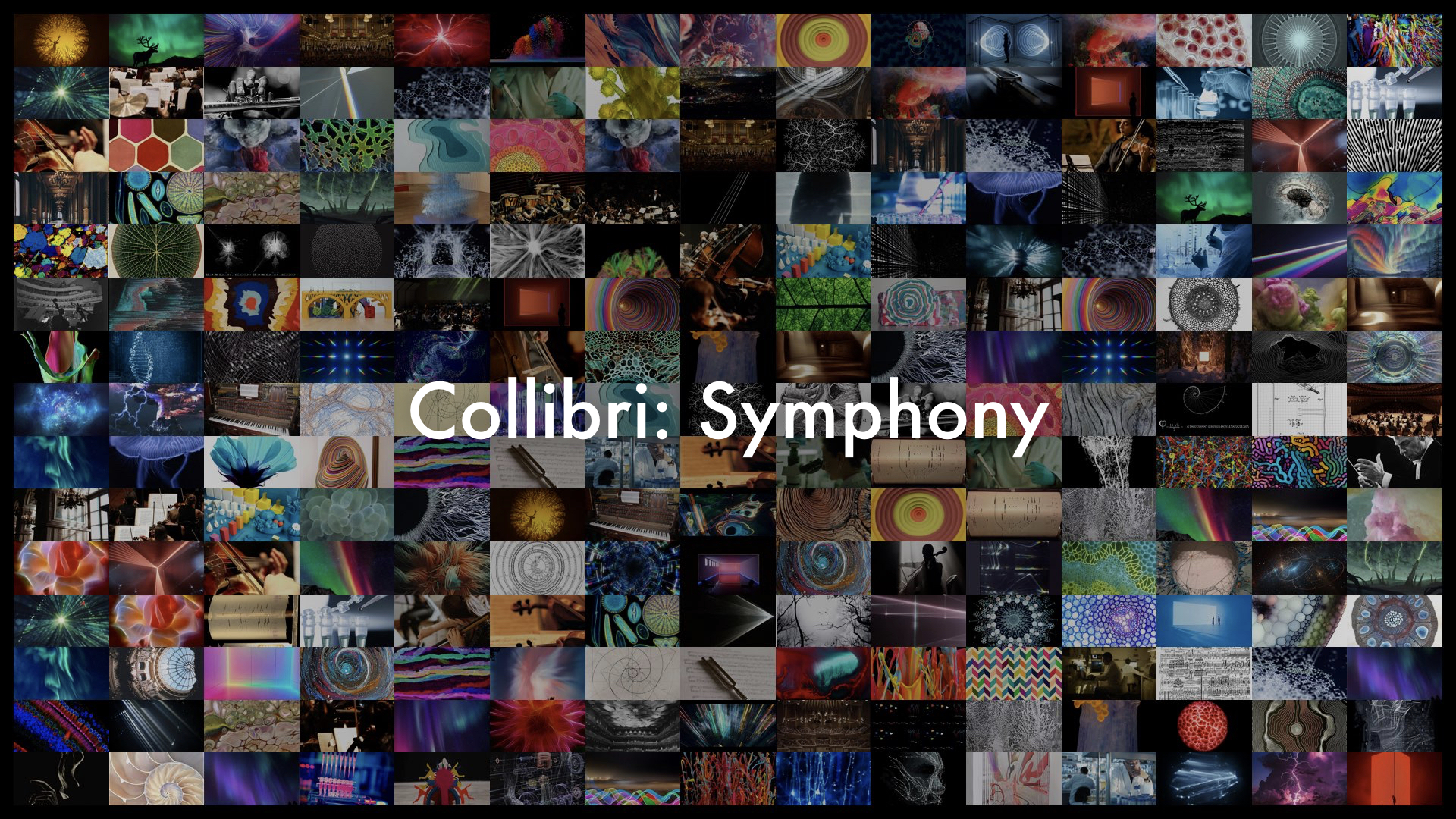 Collibri Cover.001.jpeg