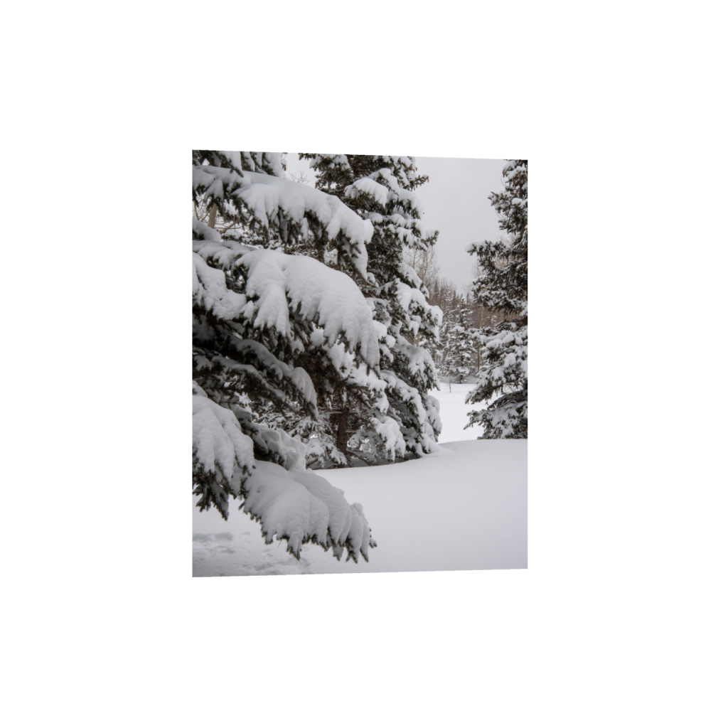 ptq_1_6_0_750_6000_7500_0_false_ffffff_0_0_.png