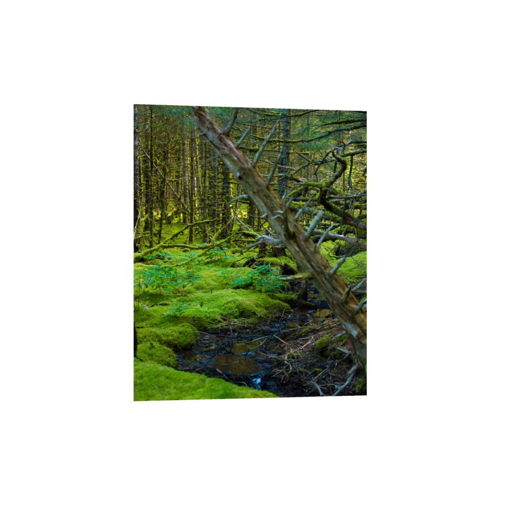 ptq_1_6_0_517_4088_5110_0_false_ffffff_0_0_.png