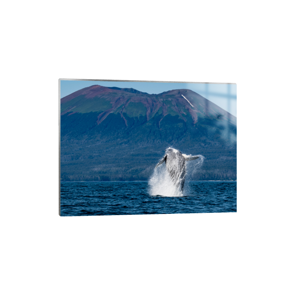 ptq_13_5_696_0_4606_3455_0_false_ffffff_0_0_.png