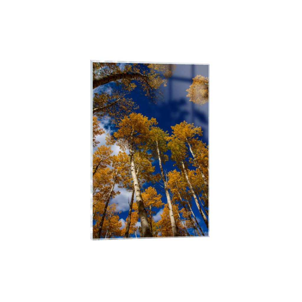 ptq_17_3_0_0_6000_9000_0_false_ffffff_0_0_.png