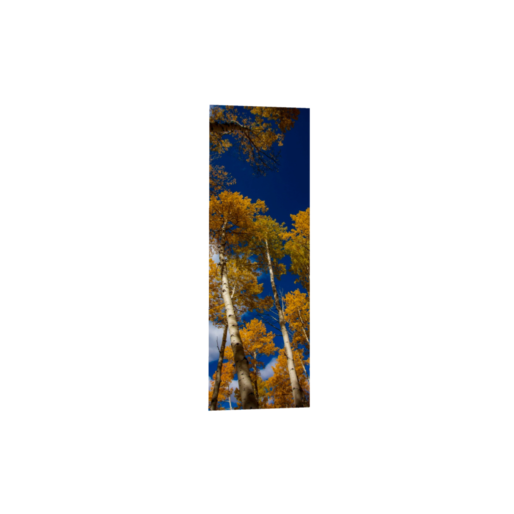 ptq_1_2_1500_0_3000_9000_0_false_ffffff_0_0_.png