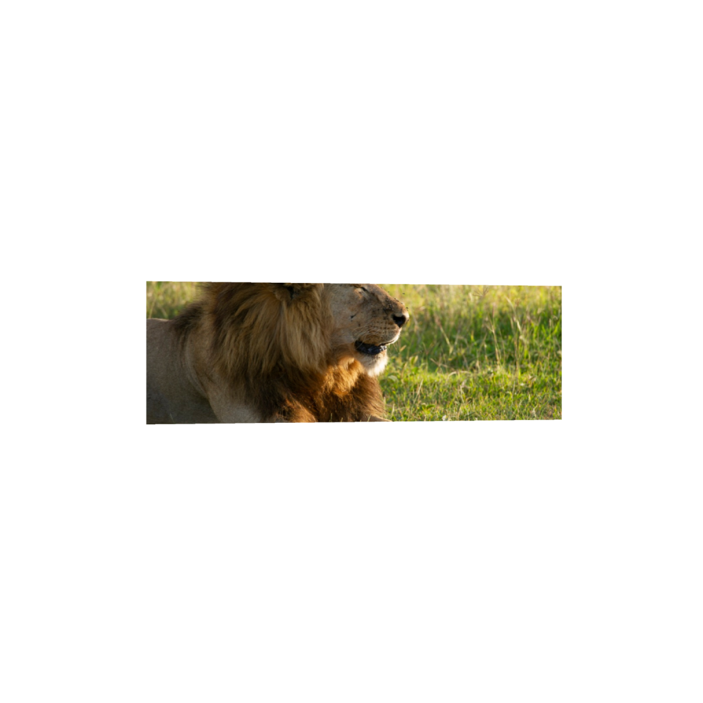 ptq_1_2_0_706_4256_1418_0_false_ffffff_0_0_.png