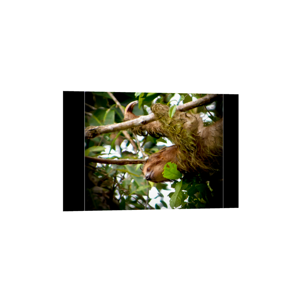 ptq_34_3_0_1000_6000_4000_0_false_ffffff_0_0_.png