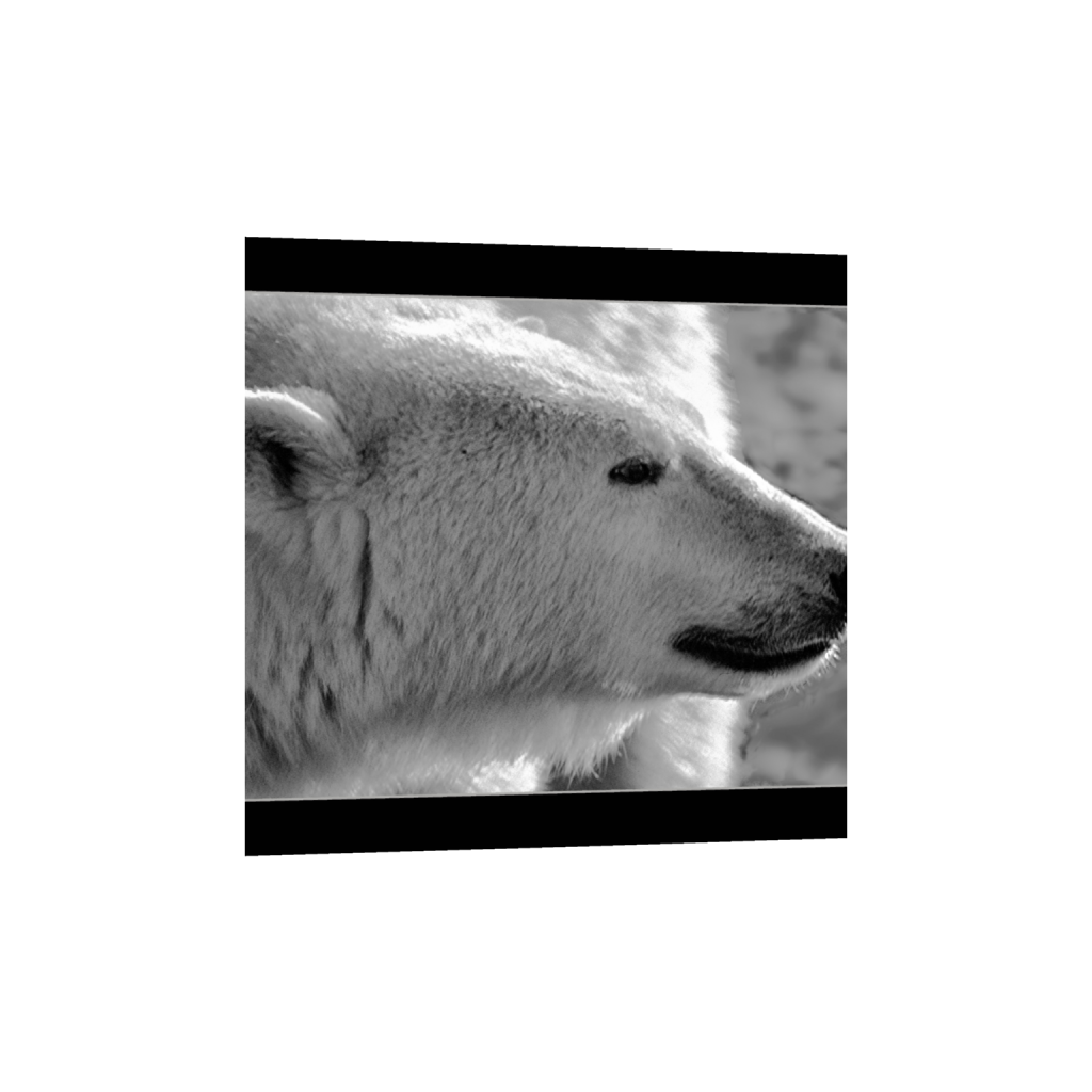 ptq_34_0_300_0_2400_2400_0_false_ffffff_0_0_.png