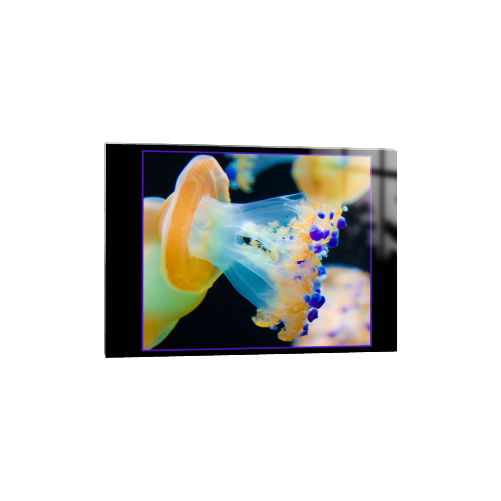 ptq_13_7_0_128_3000_2142_0_false_ffffff_0_0_.png