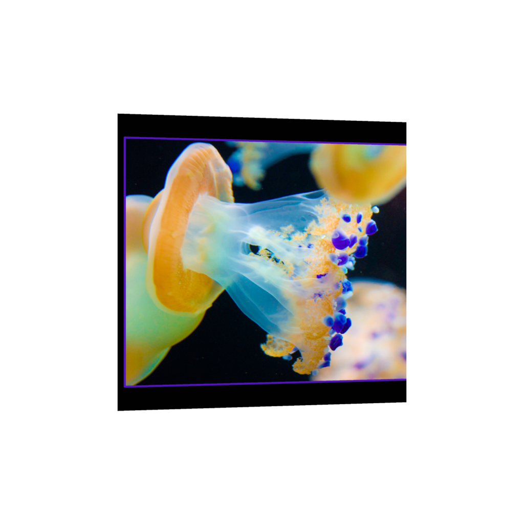 ptq_34_0_300_0_2400_2400_0_false_ffffff_0_0_.png