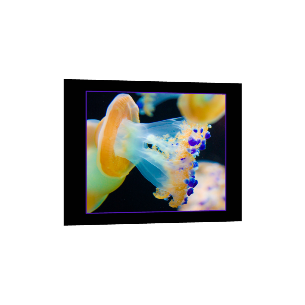 ptq_34_6_0_0_3000_2400_0_false_ffffff_0_0_.png