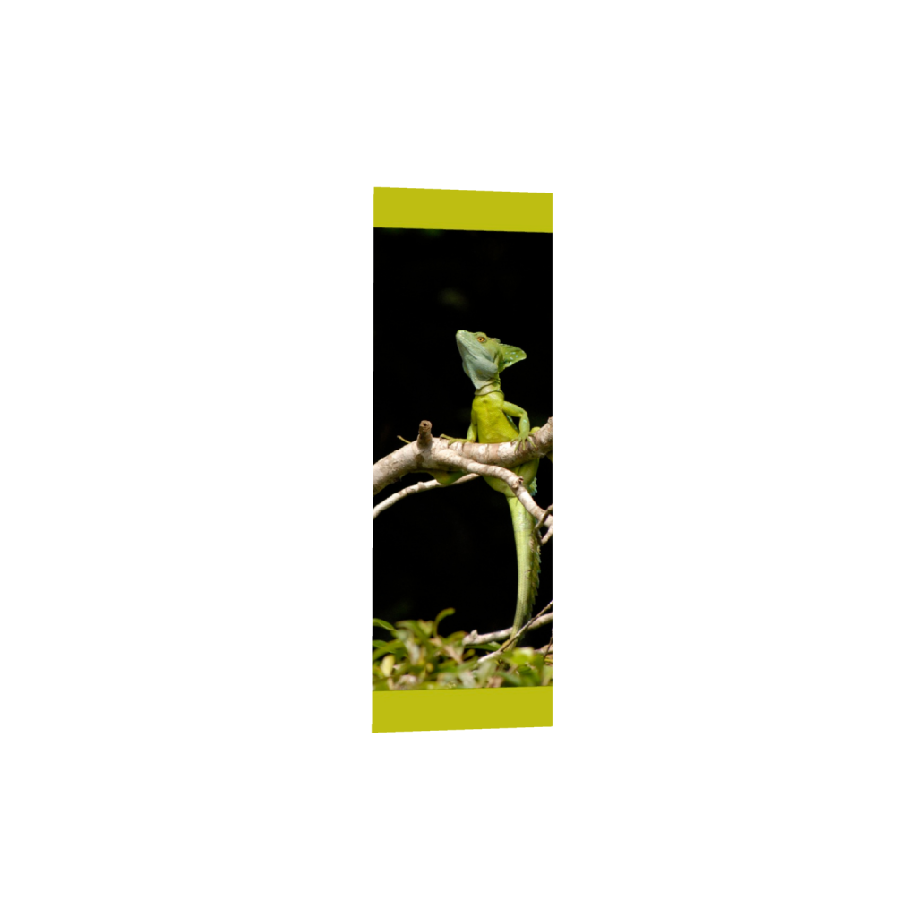 ptq_1_2_1200_0_3000_9000_0_false_ffffff_0_0_.png