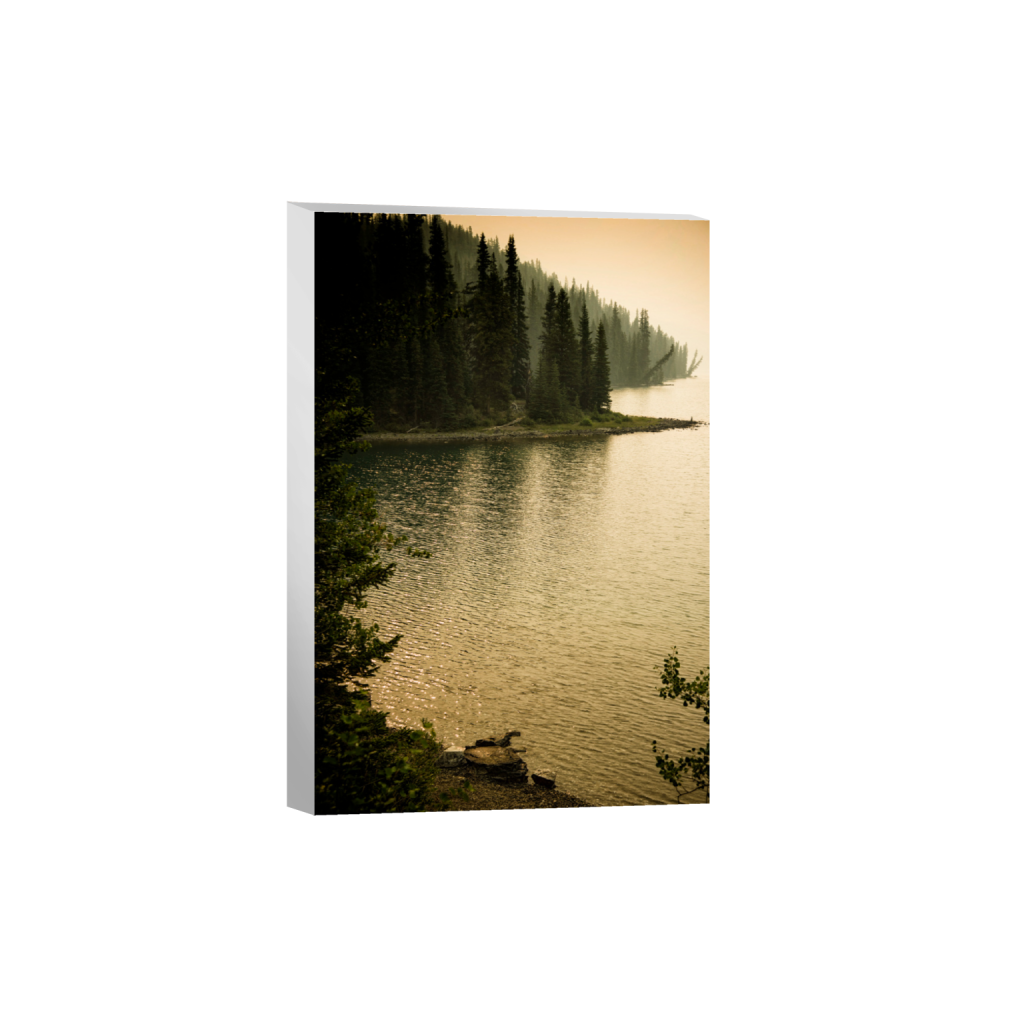 ptq_7_3_0_4_2832_4248_0_false_ffffff_0_0_.png