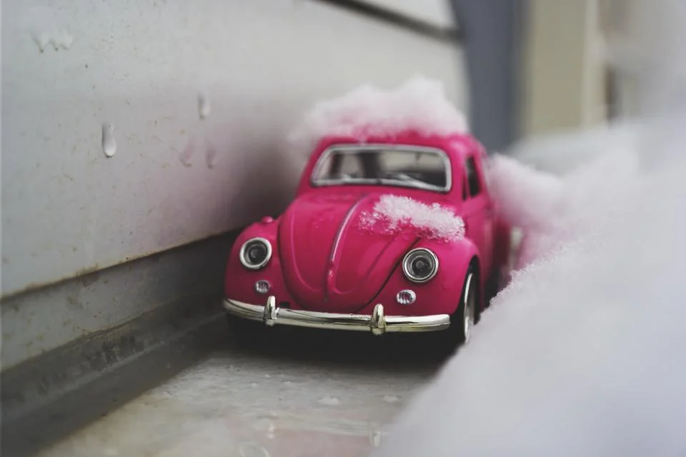 Pink bug + snow.jpg