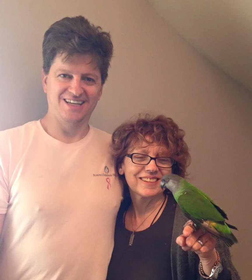 Wally (Senegal) was adopted by a loving mom and dad and gained some parakeet siblings in March 2016!