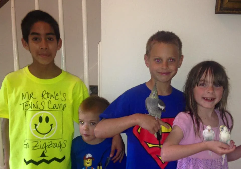 In May 2016 Phoebe joined Snow White and Isabella in their incredibly loving home!
