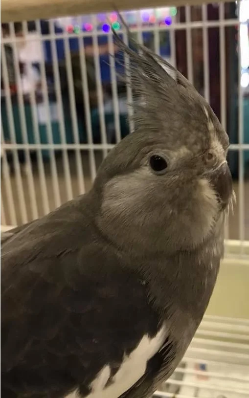 Winnie chose her family in December 2017!