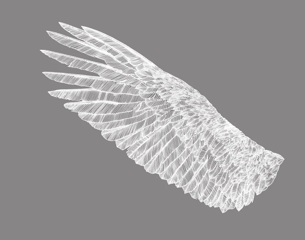Wings_INV_LT_11x14 copy.jpg