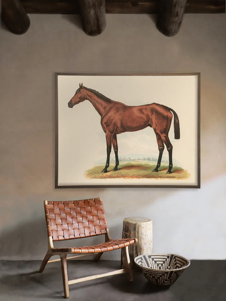 Horse_Vignette.jpg
