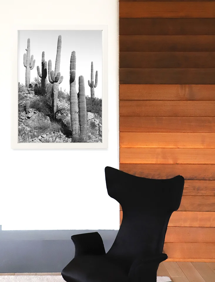 Saguaro_vignette.jpg