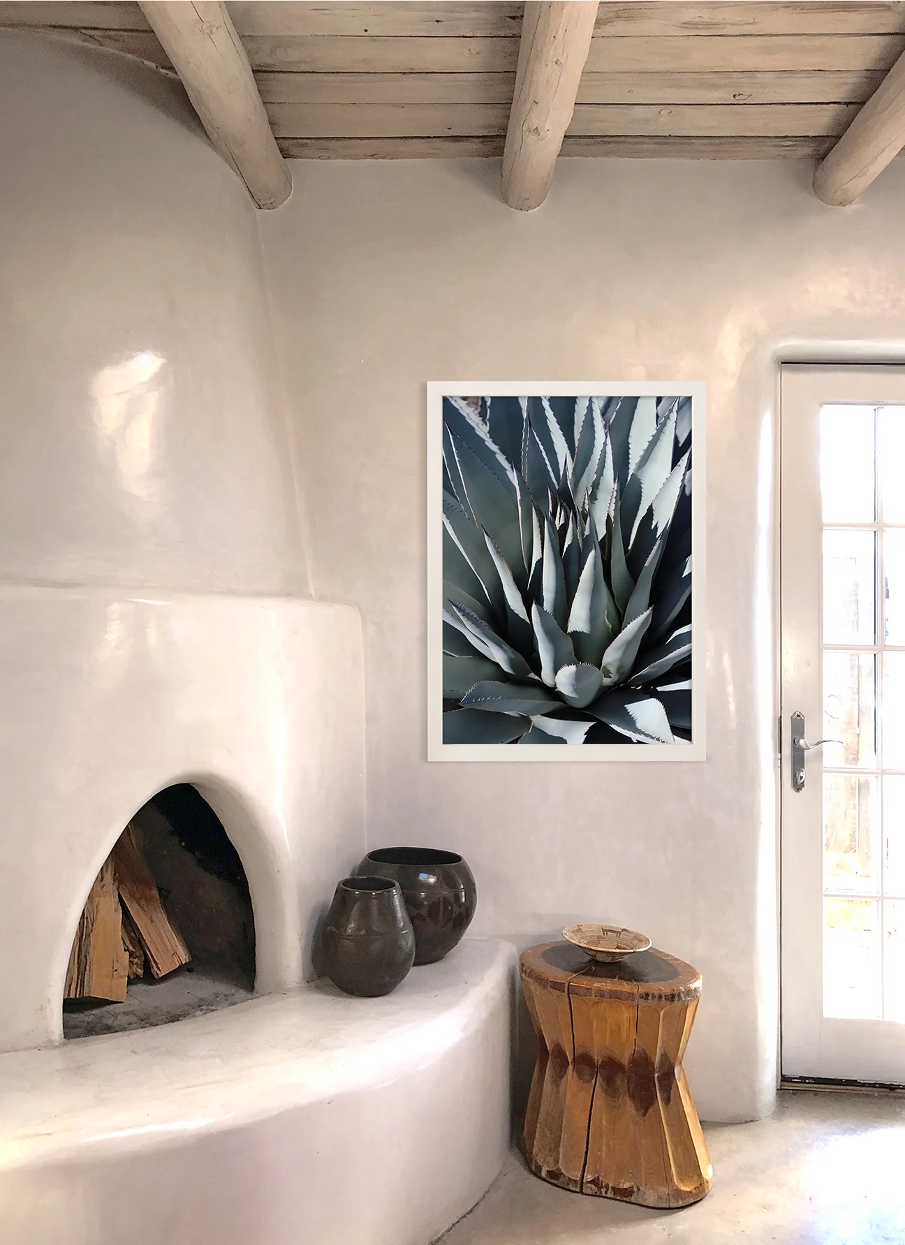 Agave_vign.jpg