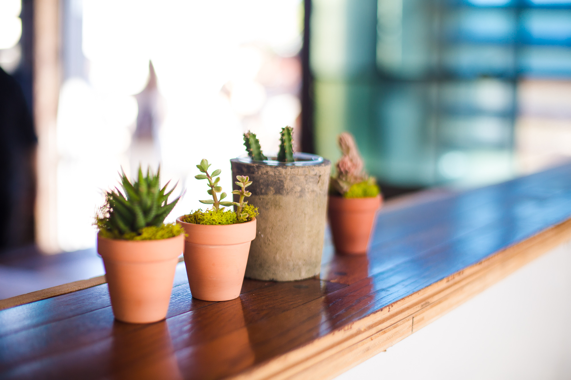 Mini terracotta pots