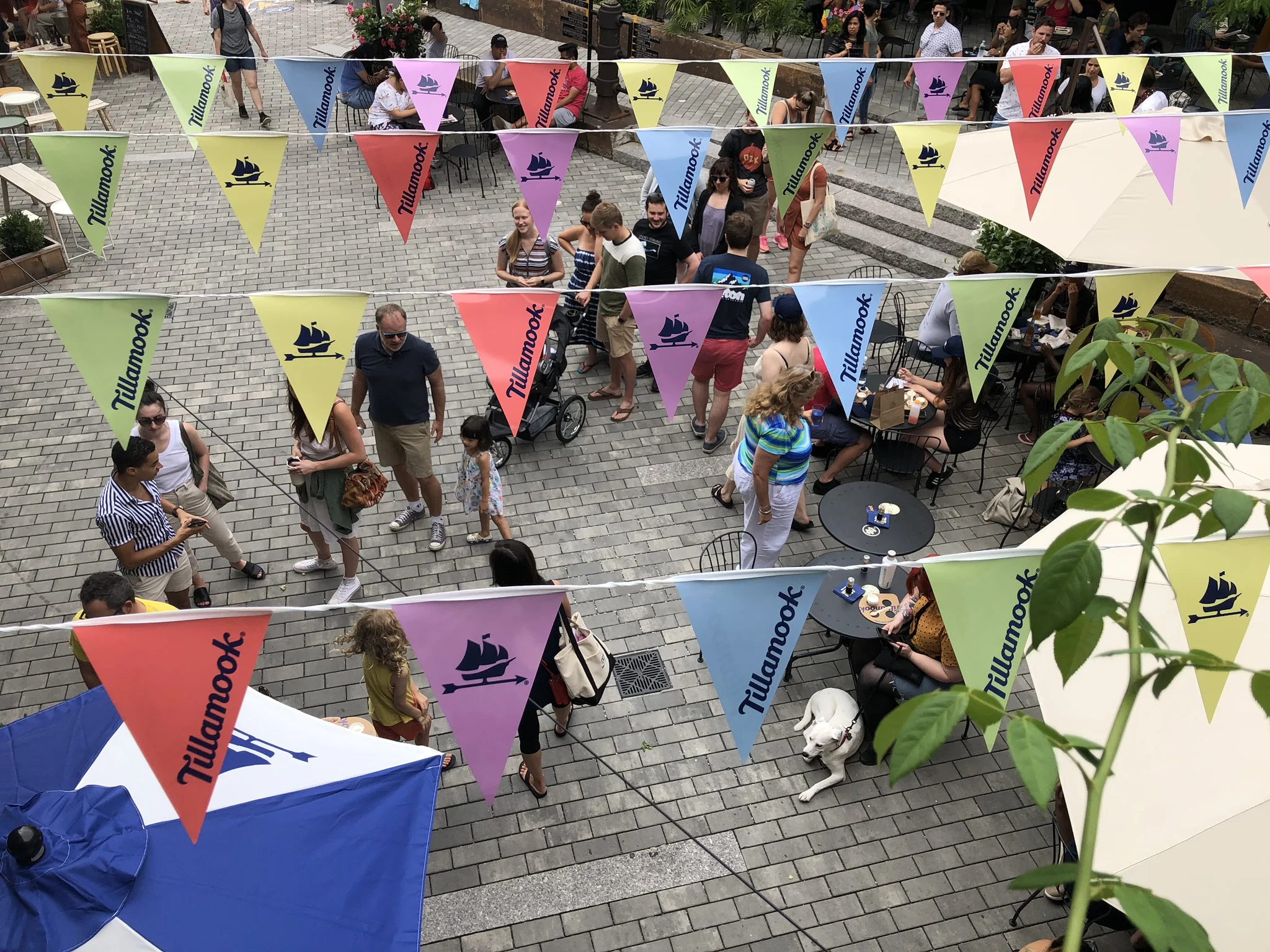 Melty Fest Tour presented by Tillamook