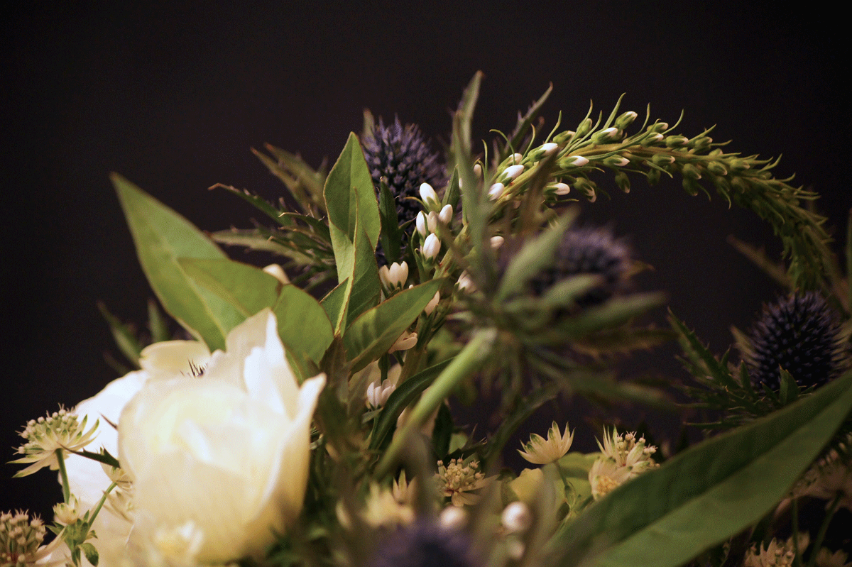 prop-styling-3.gif