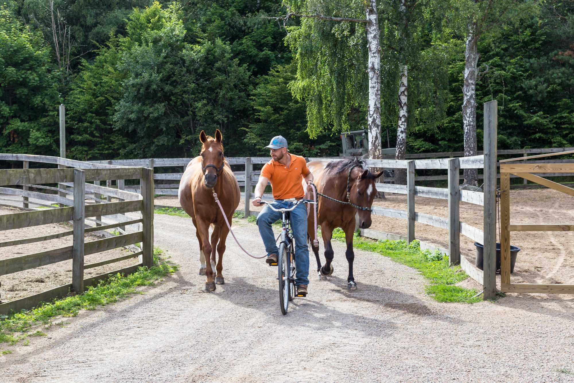 Anton is bringing the horses for the girls. He is one of the best westernstyle riding instructor in Sweden.