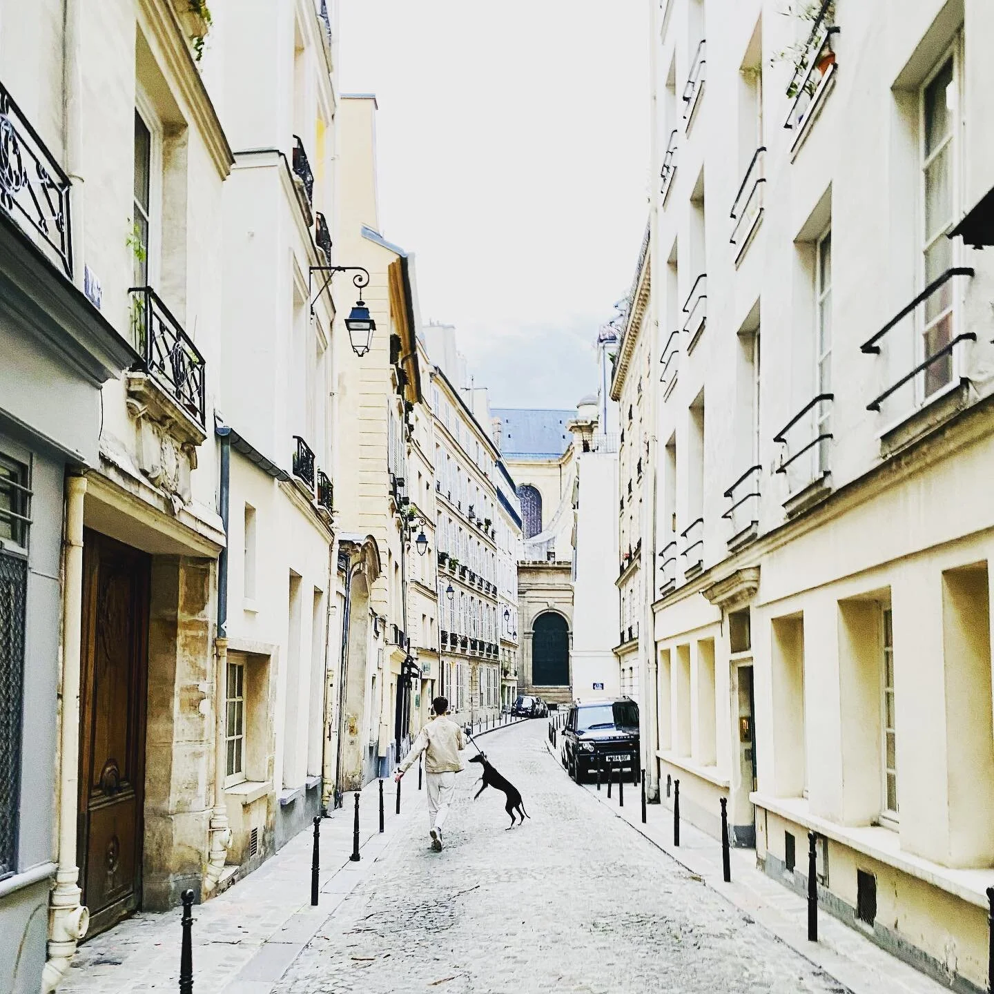 I 🤍 Paris, the colors, the food, the shopping, the art, just everything #visitparis #shotoniphone11pro