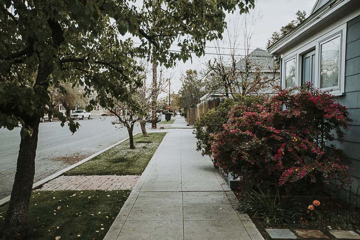 treelined_streets_lr-11.jpg
