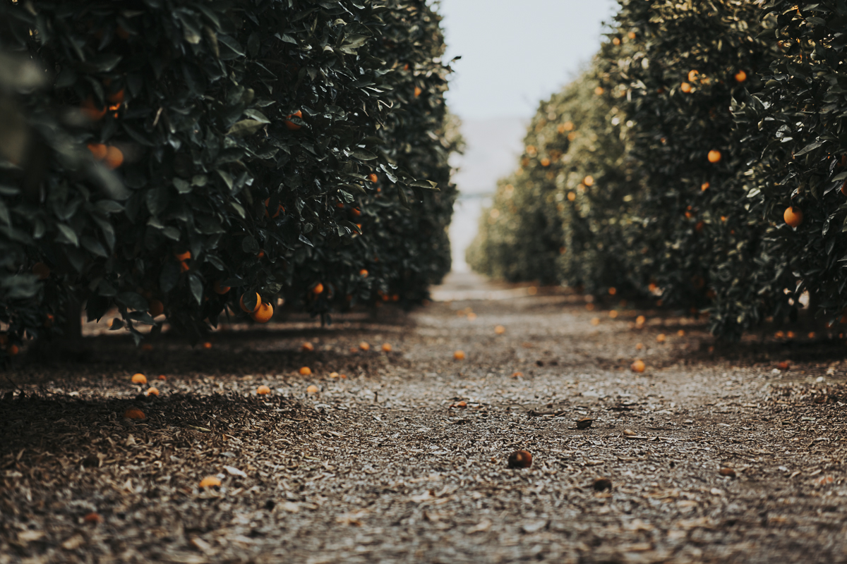 "My husband and I were wanting to move, our friend referred us to Melinda, and from the beginning she was great! She is very knowledgeable about Bakersfield and the Real Estate industry." - Jessica, Bakersfield, California