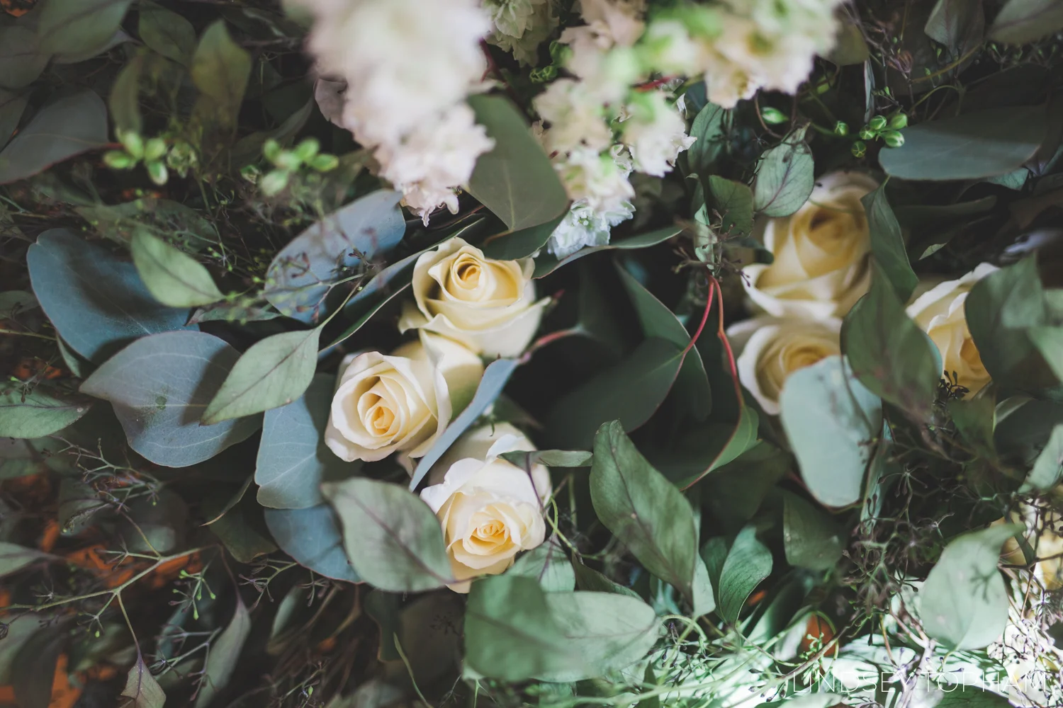 Ludlow MA Wedding