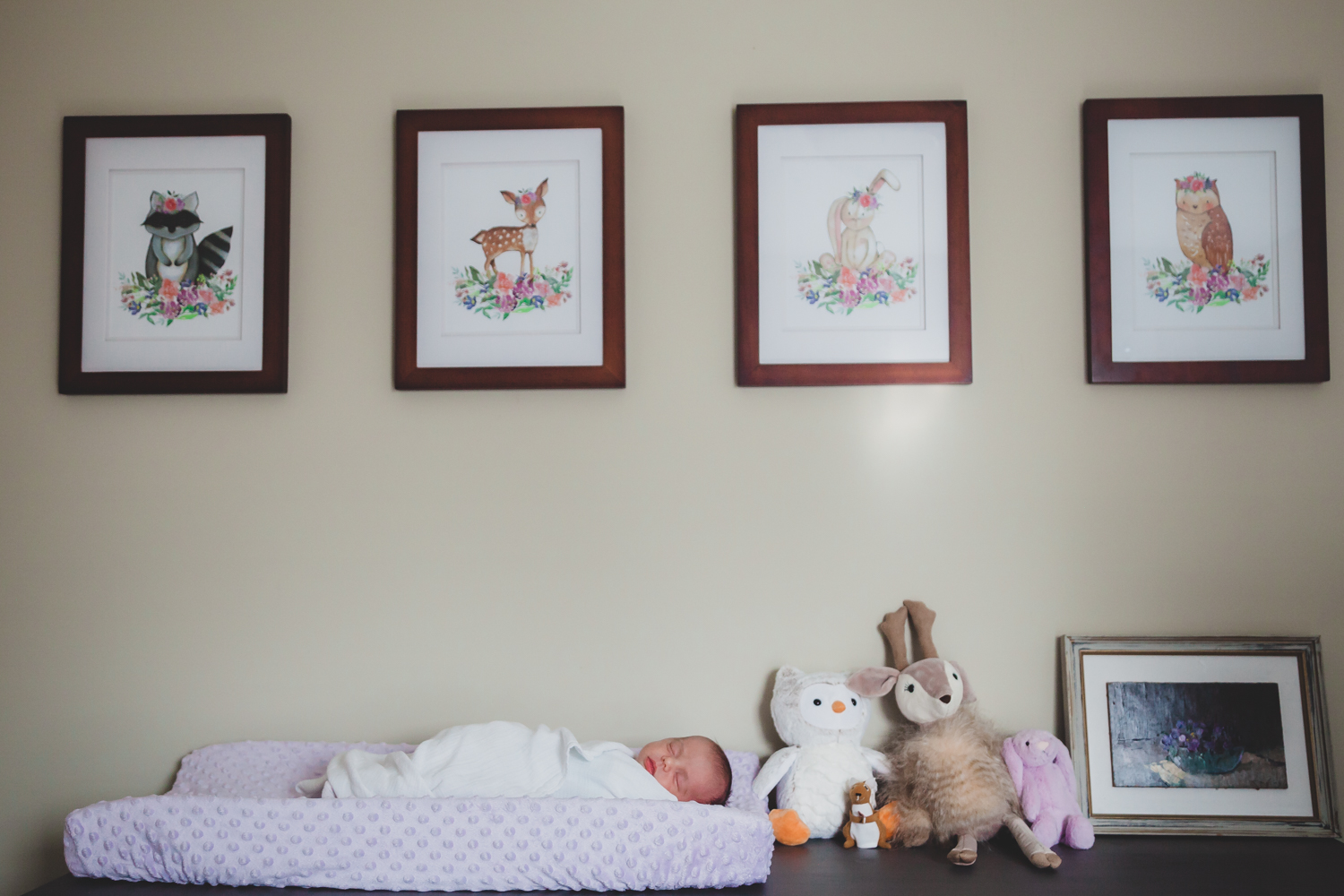 westernmassnewbornphotography-3-4.jpg