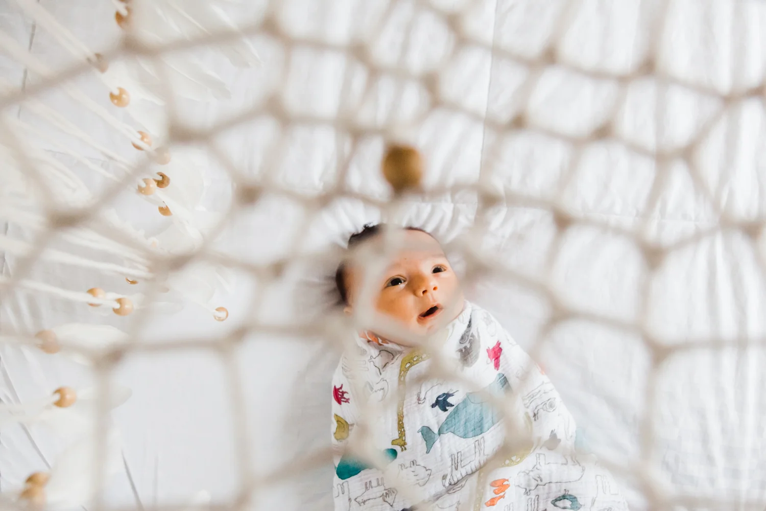 charliebones-3.jpg