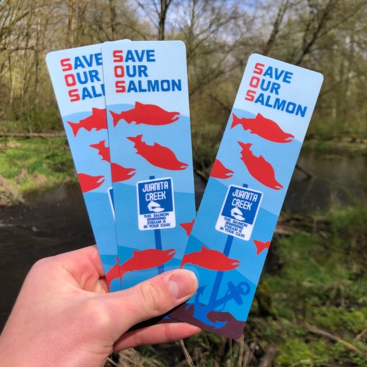 Save-Our-Salmon-Mural-Bookmarks.jpg