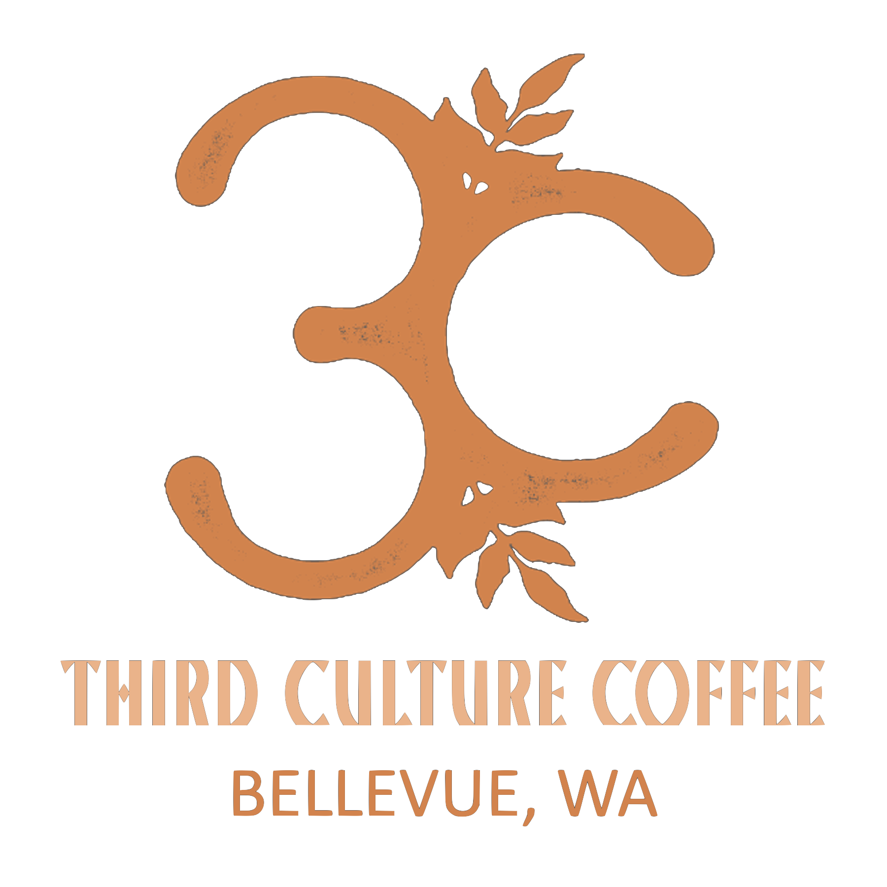 Third-Culture-Coffee-Bellevue.png