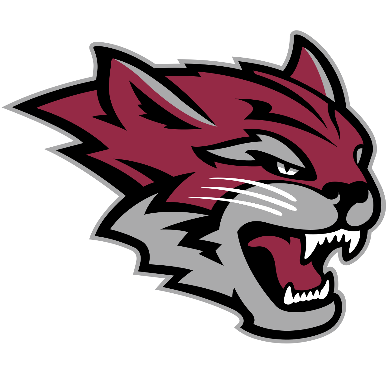 California State University-Chico